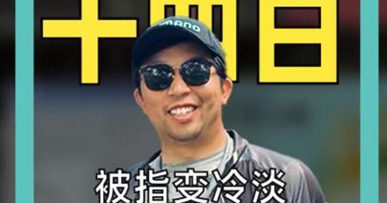被指变冷淡DeepSeek回应