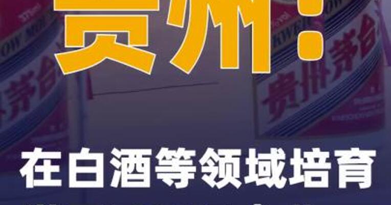 贵州：在白酒等领域培育世界500强企业