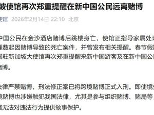 中国驻新加坡大使馆，郑重提醒！