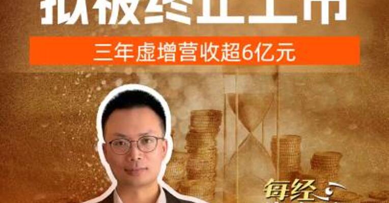 4倍大牛股 拟被终止上市 ，三年虚增营收超6亿元