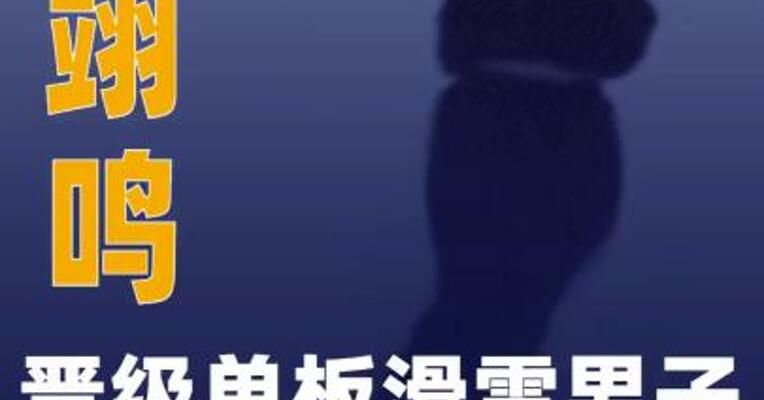 苏翊鸣晋级单板滑雪男子坡面障碍技巧决赛