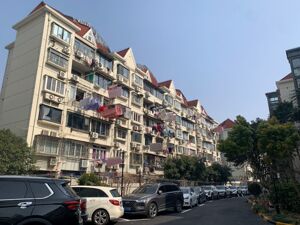 退伍后成为项目经理，“00后”用AI赋能老破小社区物业管理｜新春走基层