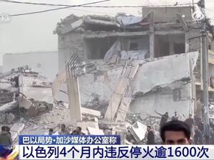 沙特、埃及、约旦、土耳其、巴西、法国、丹麦、芬兰等19国发表联合声明
