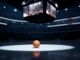 Open-uri20260224-23-1fz9mfq.thumb_hs