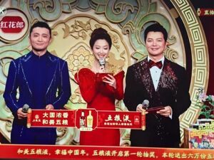 “含酒量”大缩水！马年总台春晚仅4家白酒赞助品牌亮相，酒企正转战短剧短视频新阵地？