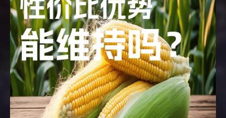 玉米 性价比优势 能维持吗？