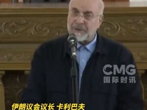 伊朗总统再次强调伊朗不会发展核武器！关于伊朗局势，中方表态