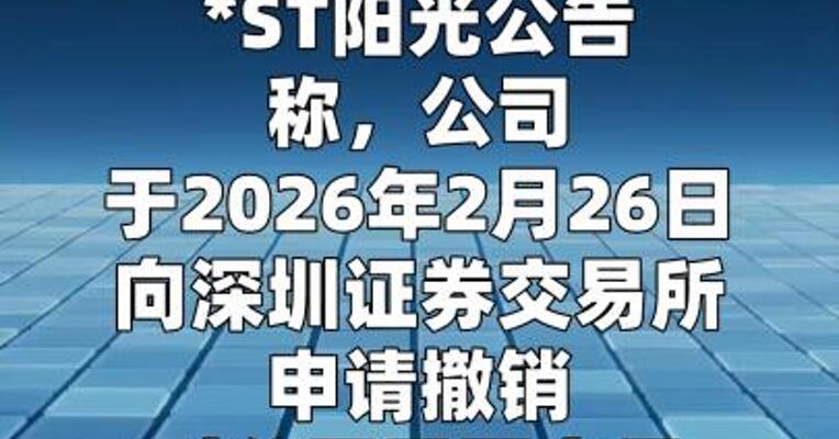 *ST阳光：申请撤销公司股票退市风险警示