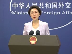 巴基斯坦防长宣布对阿富汗展开“公开战争”！巴总理：有能力粉碎任何侵略图谋！关于巴阿冲突，中方表态