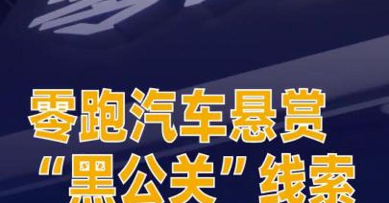 最高500万元！零跑汽车悬赏“黑公关”线索