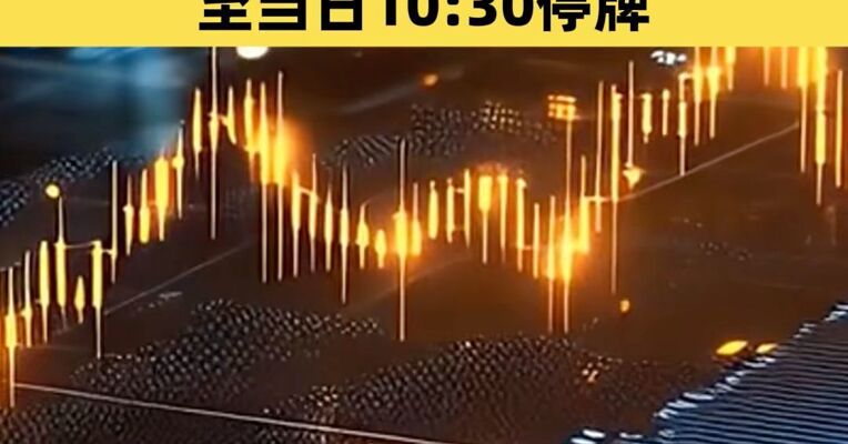 石油基金LOF：将于3月3日开市起至当日10:30停牌