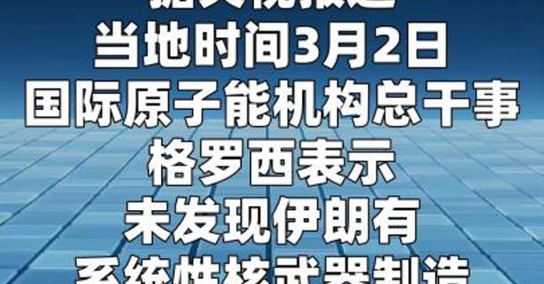 国际原子能机构总干事表示未发现伊朗核武制造计划  