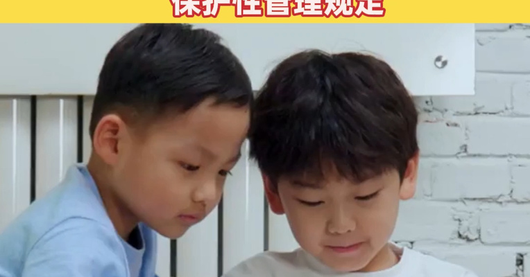 未成年人用网呈现低龄化趋势！全国政协委员于本宏：研究制定未成年人社交媒体保护性管理规定