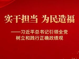 实干担当 为民造福——习近平总书记引领全党树立和践行正确政绩观