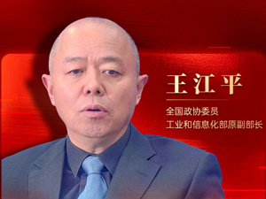 专访全国政协委员、工信部原副部长王江平：如何应对工作岗位被AI替代？关键是培养人类的“元能力”