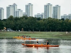解读2026年政府工作报告：文创看点出现三个“新”变化