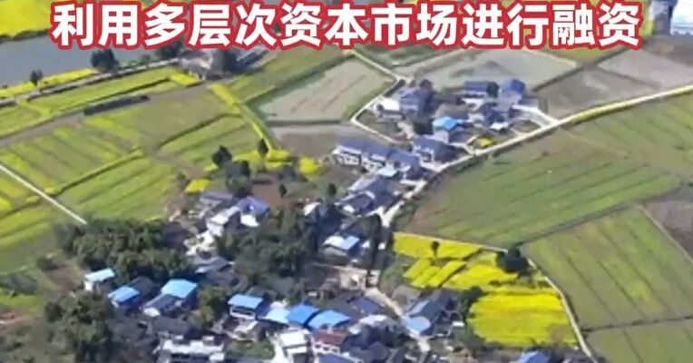 四部门：加大农村地区企业上市辅导培育力度，帮助更多企业利用多层次资本市场进行融资