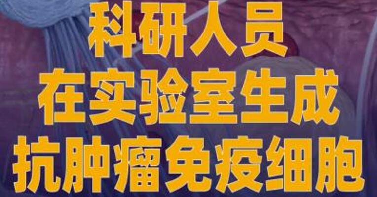 科研人员在实验室生成抗肿瘤 免疫细胞