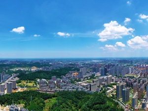 全国人大代表、咸宁市市长杨军：融入广域武汉大都市圈，加快打造绿色发展重要增长极