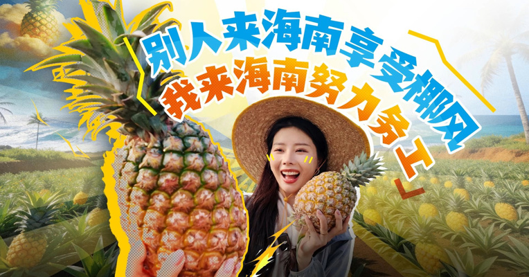 半个中国的人来海南抢凤梨