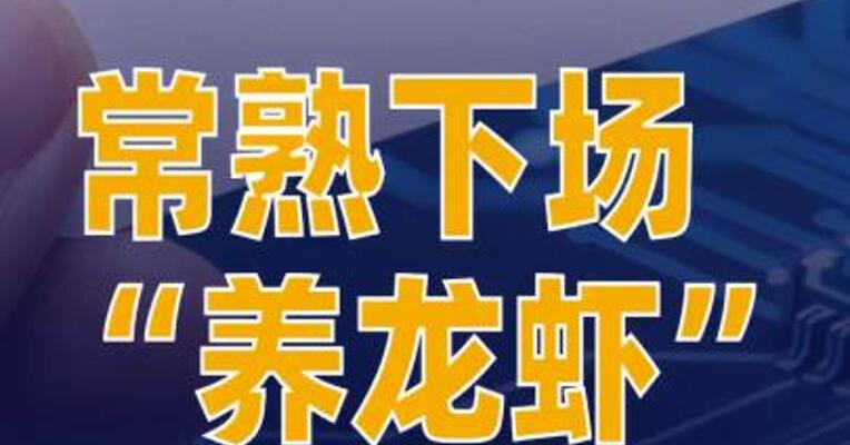 常熟下场“养龙虾”：对“一人公司”最高拟予600万元支持