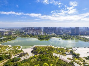 全国人大代表、亳州市委书记秦凤玉：以产业为基，“中医药之都”亳州“十五五”如何奋力争先？
