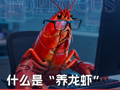 什么是“养龙虾” 普通人适合“养龙虾”吗？