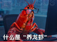 Open-uri20260310-35-rxpkn7.thumb_hs