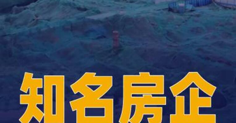 知名房企旗下多个地块被回收
