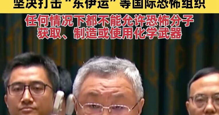 中方呼吁叙利亚过渡政府履行国际义务 坚决打击包括“东伊运”等国际恐怖组织 不能允许恐怖分子获取、制造或使用化学武器