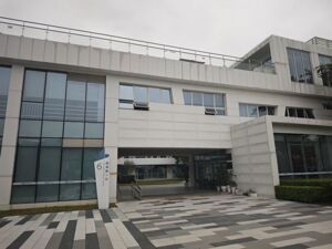 1个人+AI=一家公司？深圳“一人公司”火了，每经记者实探