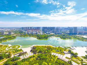 全国人大代表、亳州市委书记秦凤玉：以产业为基，“中医药之都”亳州“十五五”如何奋力争先？