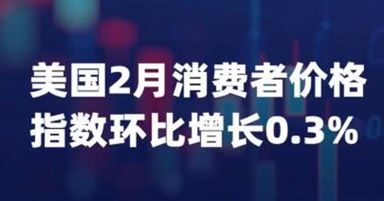 美国2月消费者价格指数环比 增长0.3%