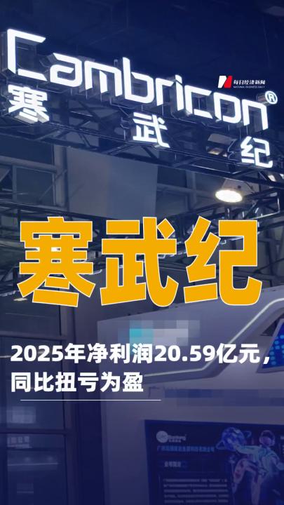 寒武紀(jì)：2025年凈利潤(rùn)20.59億元，同比扭虧為盈