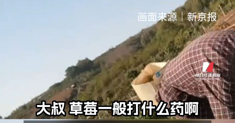 有毒重金属镉超标近15倍？冻干草莓被曝测出20多种农药残留 云南成立调查组严查冻干草莓产业链违法违规
