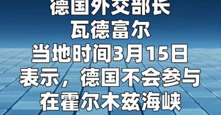 德外长：德国不会参与在霍尔木兹海峡的护航行动
