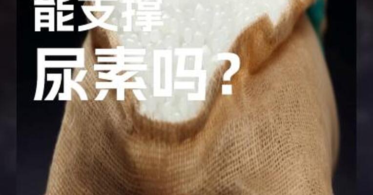 春耕需求 能支撑 尿素吗？