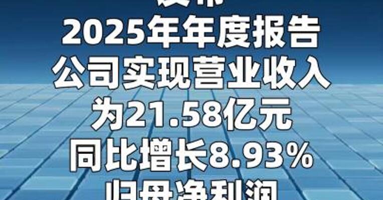 新诺威：2025年净利润亏损2.41亿元