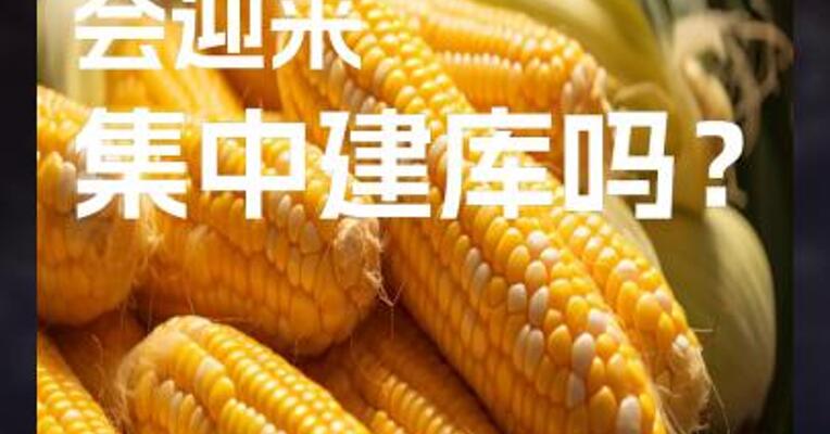 优质玉米 会迎来 集中建库吗？
