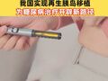全球首例！我国实现再生胰岛移植，为糖尿病治疗开辟新路径