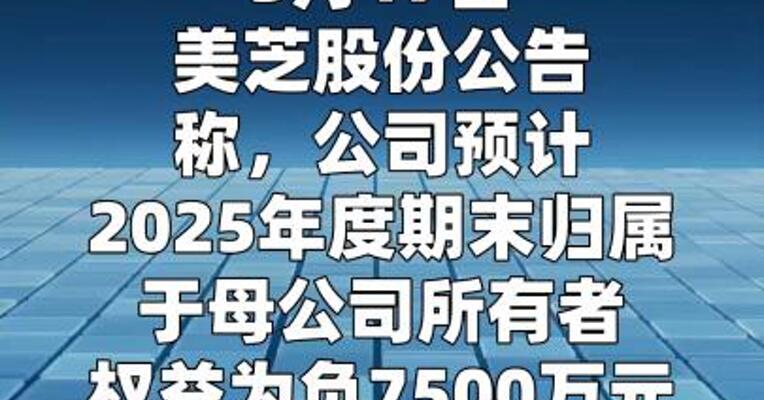 美芝股份：公司股票可能被实施退市风险警示