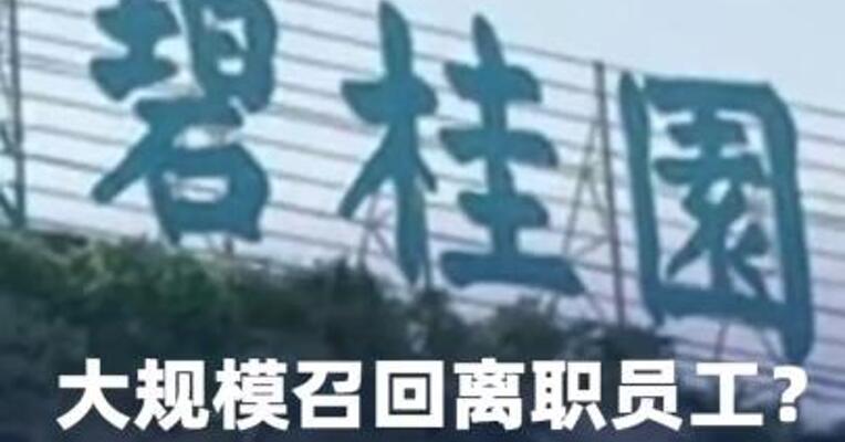 大规模召回离职员工？碧桂园回应