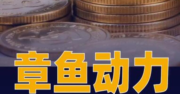 章鱼动力完成近5000万美元首轮融资