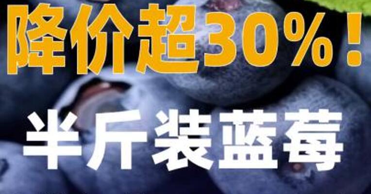 降价超30%半斤装蓝莓降到19.9元