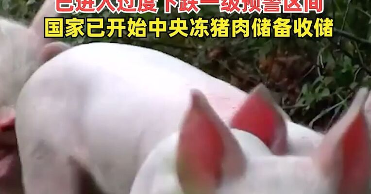 国家发展改革委、农业农村部召开生猪养殖企业座谈会：生猪价格走低，已进入过度下跌一级预警区间，国家已开始中央冻猪肉储备收储