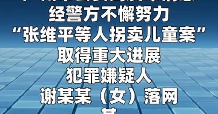 广州公安通报：“梅姨”落网  