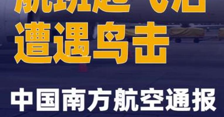 航班起飞后遭遇鸟击 中国南方航空通报