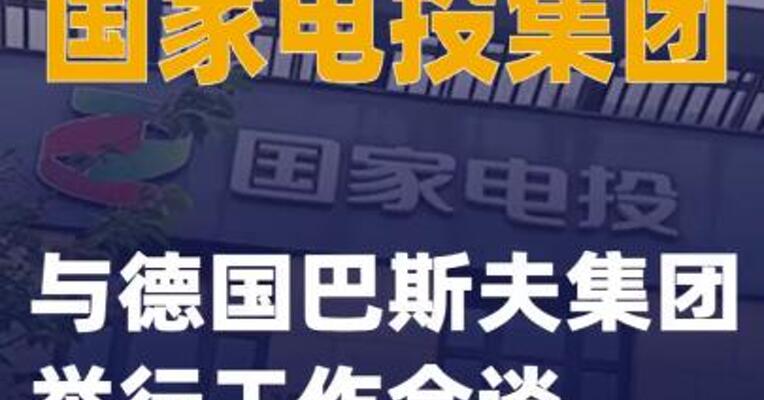 国家电投集团与德国巴斯夫集团举行工作会谈