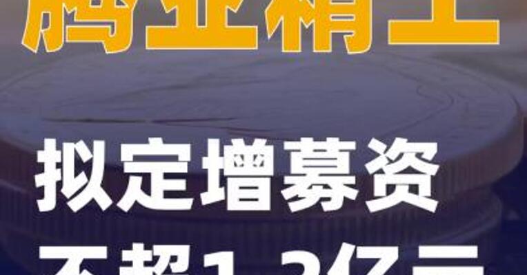 腾亚精工：拟定增募资不超1.2亿元