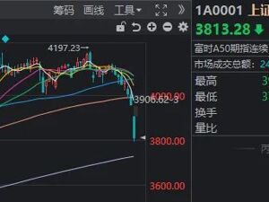 沪指险守3800点！真正的恐慌盘，出现了？